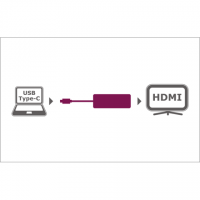 Raidsonic ICY BOX Adapter USB Type-C to HDMI HDMI